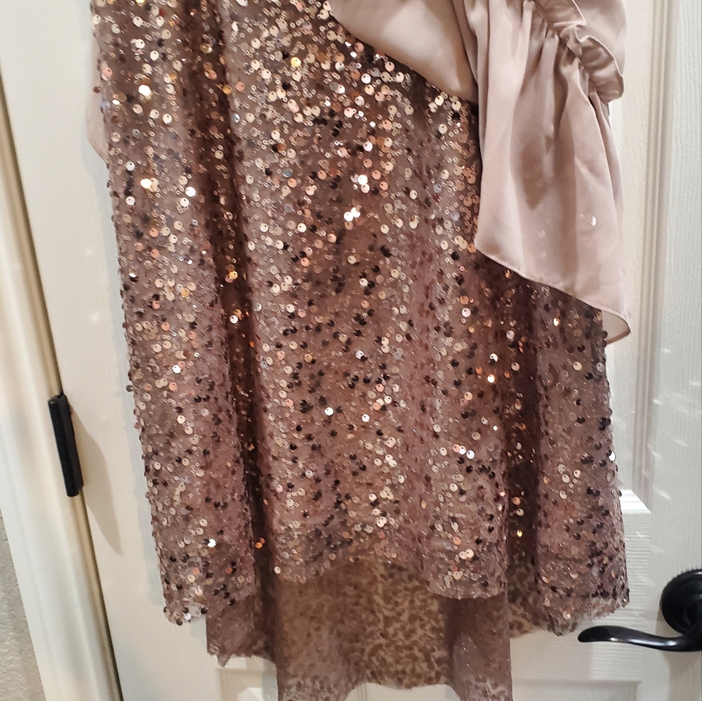 Sequen with cheer over dress - Picture 4 of 4
